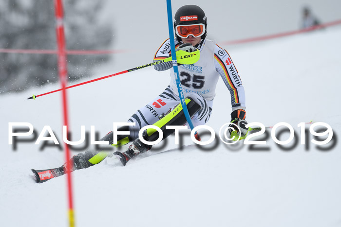 Int. FIS Rennen + NJC  AC Herren, FIS SG, Götschen, 25.01.2019