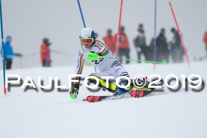 Int. FIS Rennen + NJC  AC Herren, FIS SG, Götschen, 25.01.2019