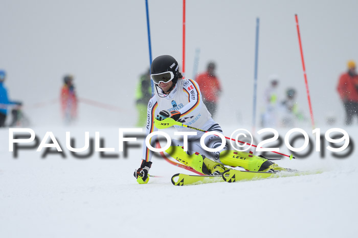 Int. FIS Rennen + NJC  AC Herren, FIS SG, Götschen, 25.01.2019