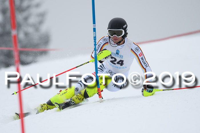 Int. FIS Rennen + NJC  AC Herren, FIS SG, Götschen, 25.01.2019