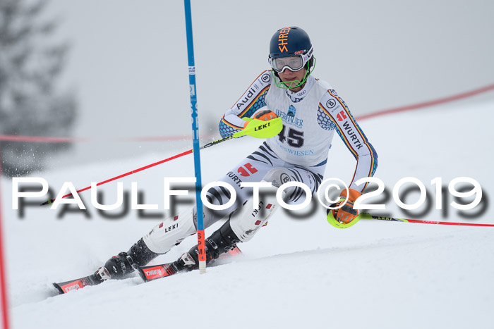 Int. FIS Rennen + NJC  AC Herren, FIS SG, Götschen, 25.01.2019