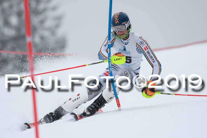 Int. FIS Rennen + NJC  AC Herren, FIS SG, Götschen, 25.01.2019