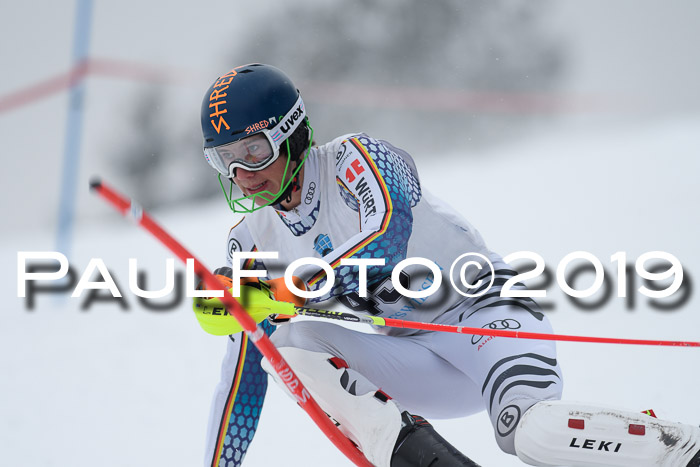 Int. FIS Rennen + NJC  AC Herren, FIS SG, Götschen, 25.01.2019