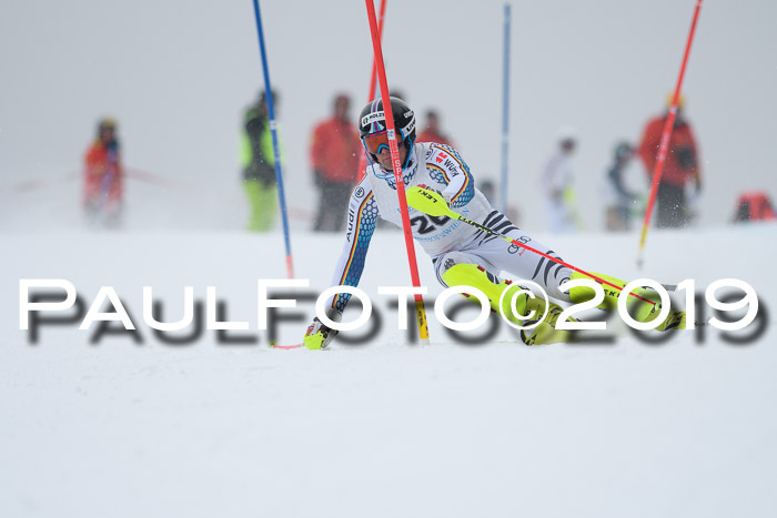 Int. FIS Rennen + NJC  AC Herren, FIS SG, Götschen, 25.01.2019