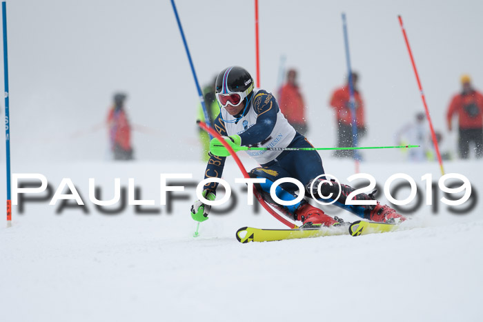 Int. FIS Rennen + NJC  AC Herren, FIS SG, Götschen, 25.01.2019