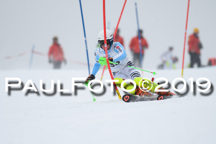 Int. FIS Rennen + NJC  AC Herren, FIS SG, Götschen, 25.01.2019