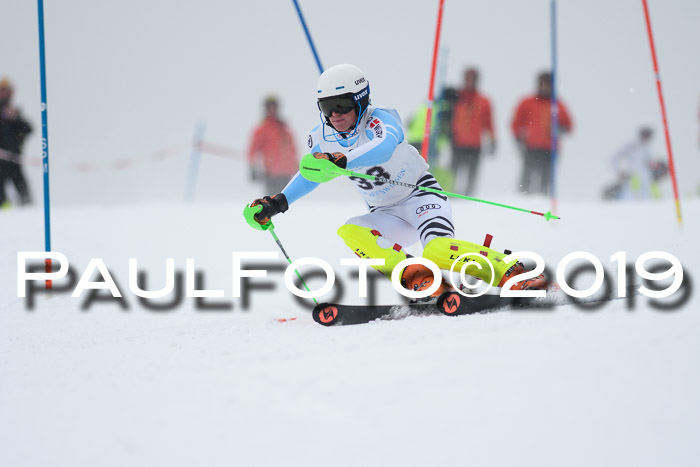 Int. FIS Rennen + NJC  AC Herren, FIS SG, Götschen, 25.01.2019