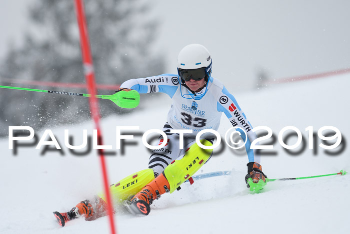 Int. FIS Rennen + NJC  AC Herren, FIS SG, Götschen, 25.01.2019