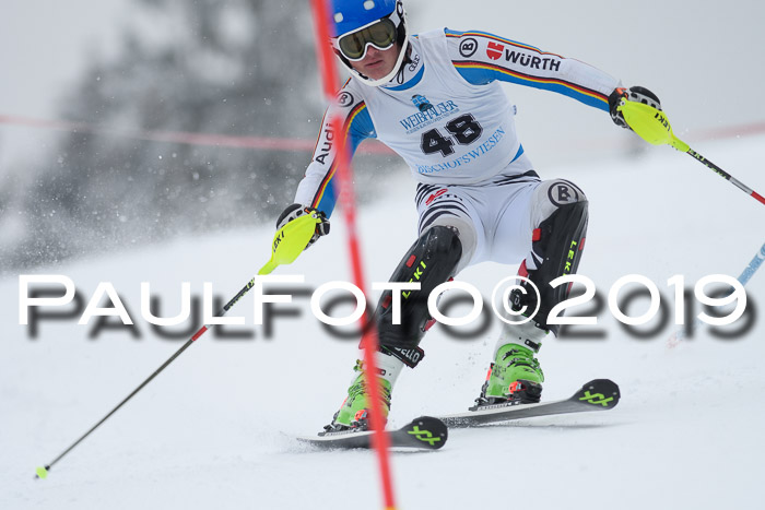 Int. FIS Rennen + NJC  AC Herren, FIS SG, Götschen, 25.01.2019