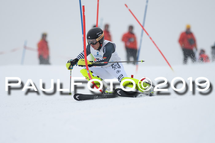 Int. FIS Rennen + NJC  AC Herren, FIS SG, Götschen, 25.01.2019