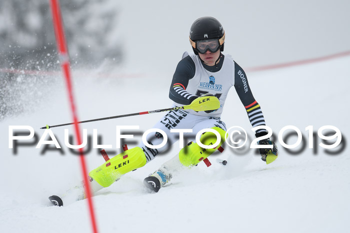 Int. FIS Rennen + NJC  AC Herren, FIS SG, Götschen, 25.01.2019