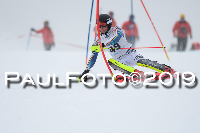 Int. FIS Rennen + NJC  AC Herren, FIS SG, Götschen, 25.01.2019