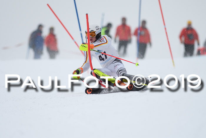 Int. FIS Rennen + NJC  AC Herren, FIS SG, Götschen, 25.01.2019