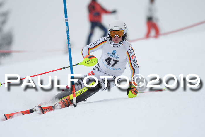 Int. FIS Rennen + NJC  AC Herren, FIS SG, Götschen, 25.01.2019