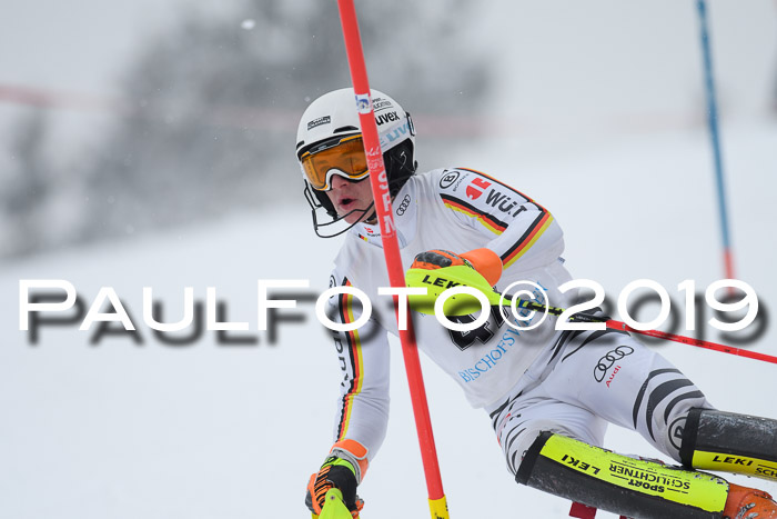 Int. FIS Rennen + NJC  AC Herren, FIS SG, Götschen, 25.01.2019