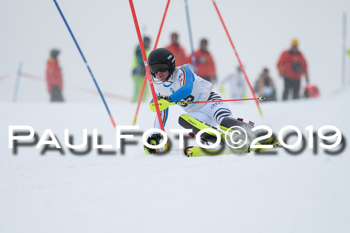 Int. FIS Rennen + NJC  AC Herren, FIS SG, Götschen, 25.01.2019