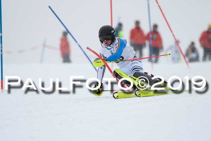 Int. FIS Rennen + NJC  AC Herren, FIS SG, Götschen, 25.01.2019