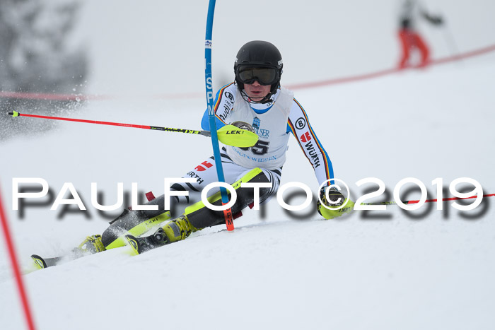 Int. FIS Rennen + NJC  AC Herren, FIS SG, Götschen, 25.01.2019