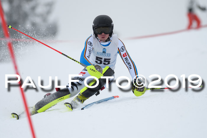 Int. FIS Rennen + NJC  AC Herren, FIS SG, Götschen, 25.01.2019