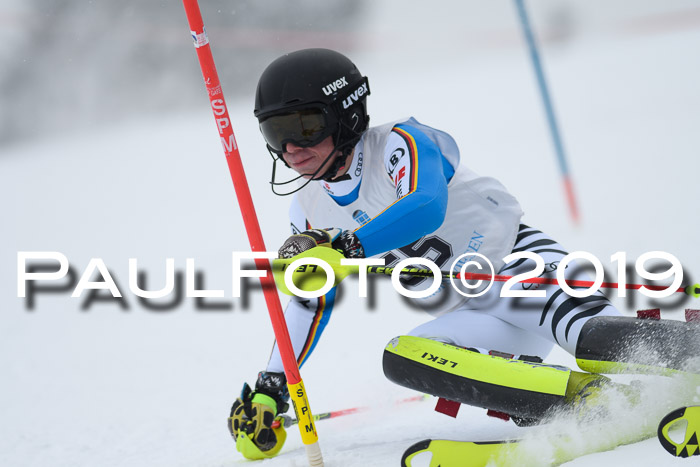 Int. FIS Rennen + NJC  AC Herren, FIS SG, Götschen, 25.01.2019