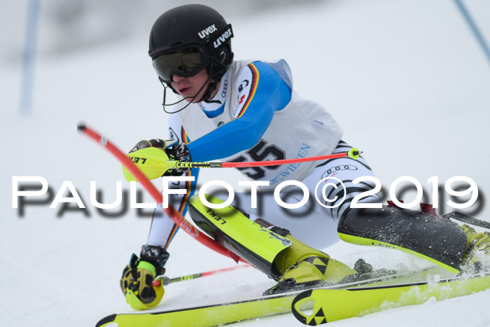 Int. FIS Rennen + NJC  AC Herren, FIS SG, Götschen, 25.01.2019