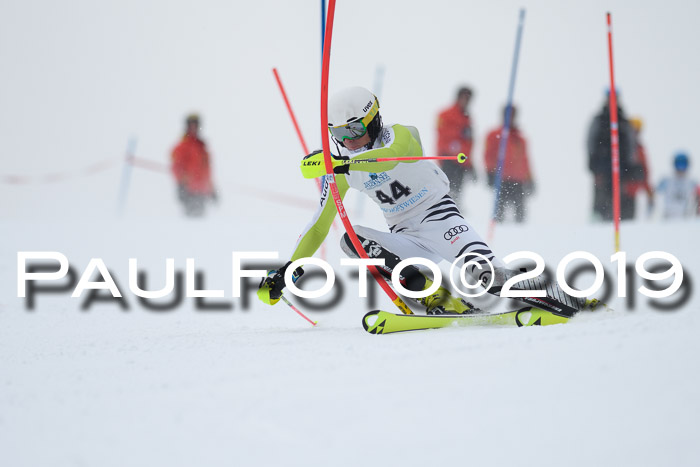 Int. FIS Rennen + NJC  AC Herren, FIS SG, Götschen, 25.01.2019