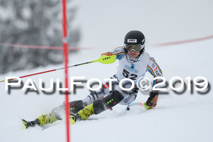 Int. FIS Rennen + NJC  AC Herren, FIS SG, Götschen, 25.01.2019