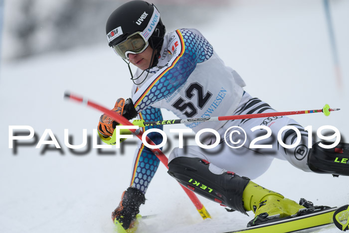 Int. FIS Rennen + NJC  AC Herren, FIS SG, Götschen, 25.01.2019