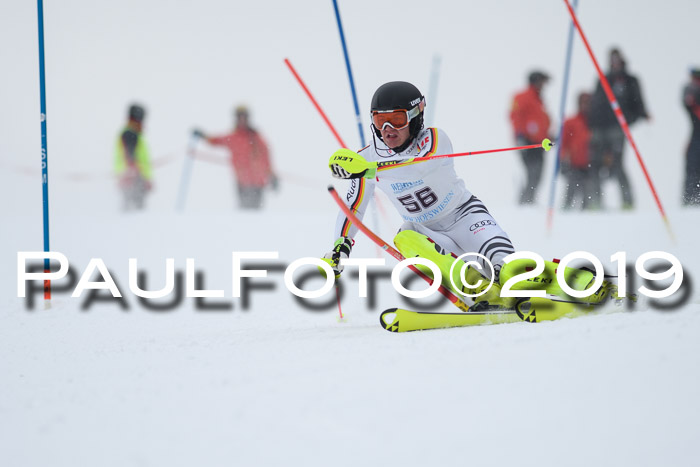 Int. FIS Rennen + NJC  AC Herren, FIS SG, Götschen, 25.01.2019