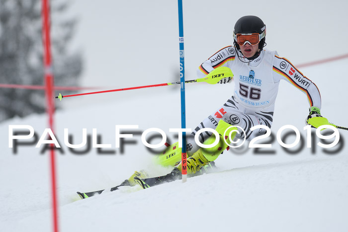 Int. FIS Rennen + NJC  AC Herren, FIS SG, Götschen, 25.01.2019