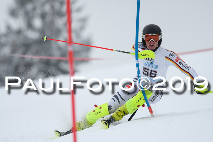 Int. FIS Rennen + NJC  AC Herren, FIS SG, Götschen, 25.01.2019