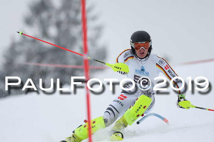 Int. FIS Rennen + NJC  AC Herren, FIS SG, Götschen, 25.01.2019