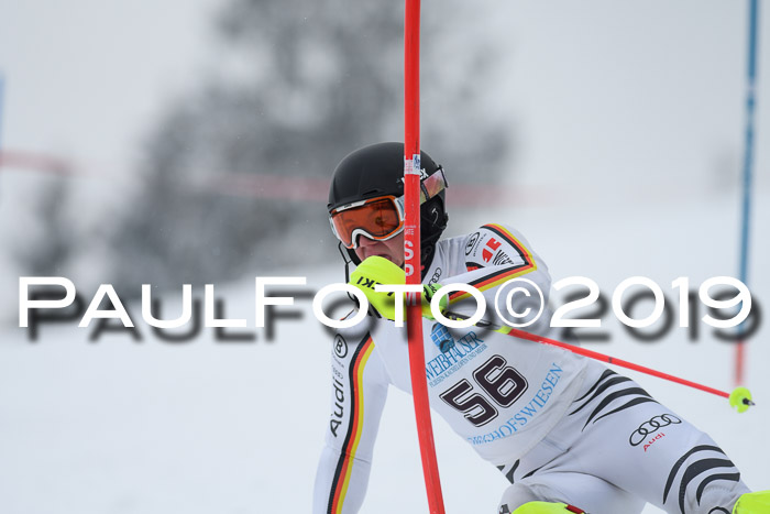 Int. FIS Rennen + NJC  AC Herren, FIS SG, Götschen, 25.01.2019