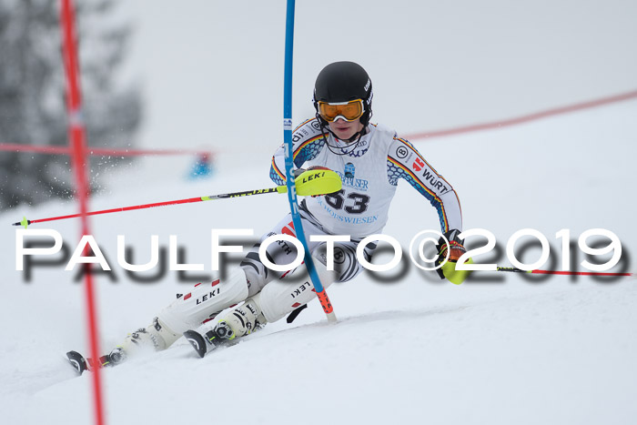 Int. FIS Rennen + NJC  AC Herren, FIS SG, Götschen, 25.01.2019