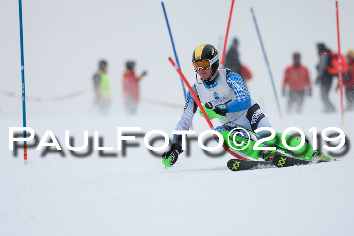 Int. FIS Rennen + NJC  AC Herren, FIS SG, Götschen, 25.01.2019