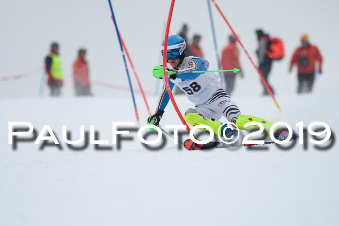 Int. FIS Rennen + NJC  AC Herren, FIS SG, Götschen, 25.01.2019