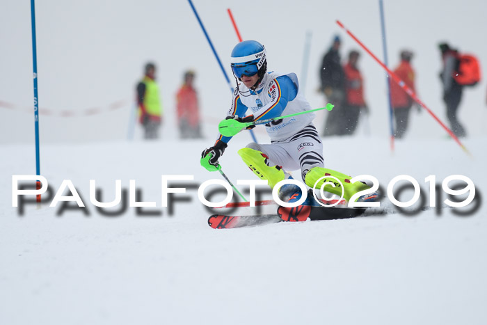 Int. FIS Rennen + NJC  AC Herren, FIS SG, Götschen, 25.01.2019