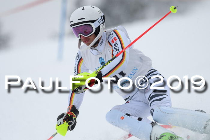 Int. FIS Rennen + NJC  AC Herren, FIS SG, Götschen, 25.01.2019