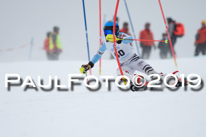 Int. FIS Rennen + NJC  AC Herren, FIS SG, Götschen, 25.01.2019