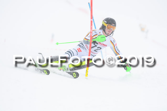 FIS Deutsche Jugendmeisterschaft Slalom Herren 2019