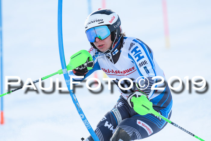 FIS Slalom + NJC Damen + FIS Herren 27.01.2019