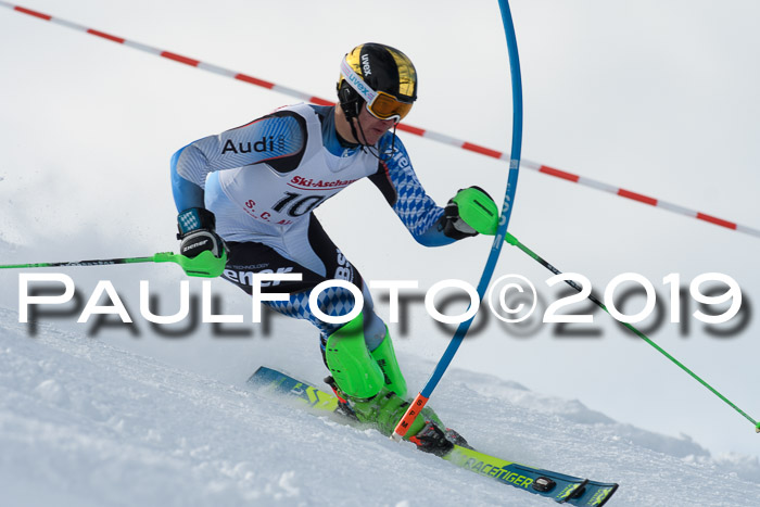 FIS Slalom + NJC Damen + FIS Herren 27.01.2019