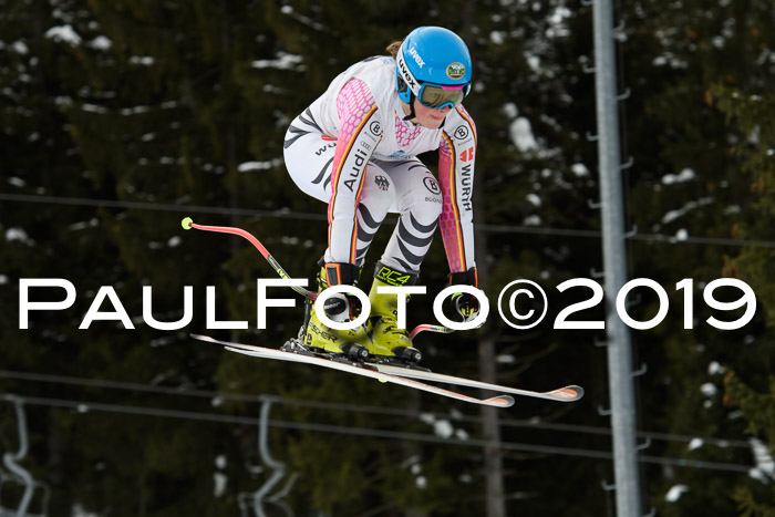 Int. FIS Rennen + NJC  AC Damen, FIS SG, Götschen, 01.02.2019