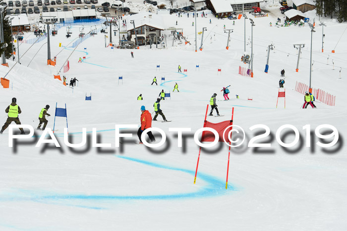 Int. FIS Rennen + NJC  AC Damen, FIS SG, Götschen, 01.02.2019