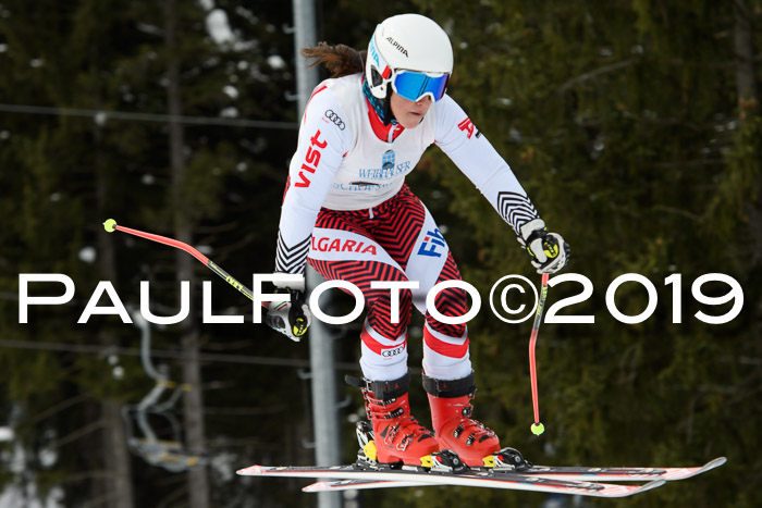 Int. FIS Rennen + NJC  AC Damen, FIS SG, Götschen, 01.02.2019