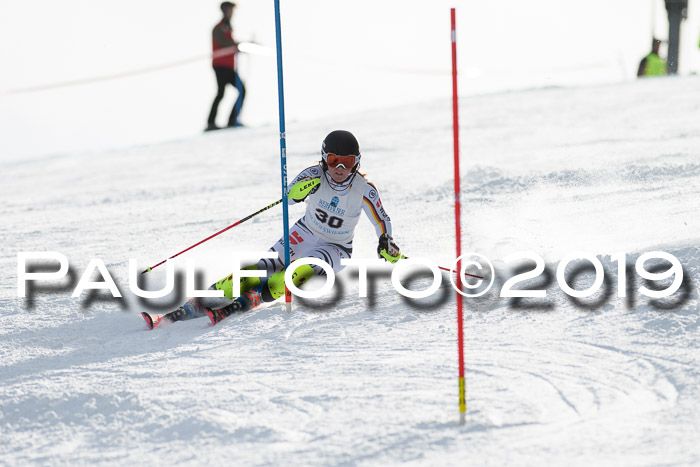 Int. FIS Rennen + NJC  AC Damen, FIS SG, Götschen, 01.02.2019