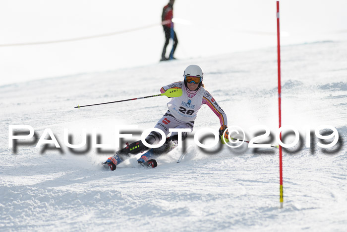 Int. FIS Rennen + NJC  AC Damen, FIS SG, Götschen, 01.02.2019