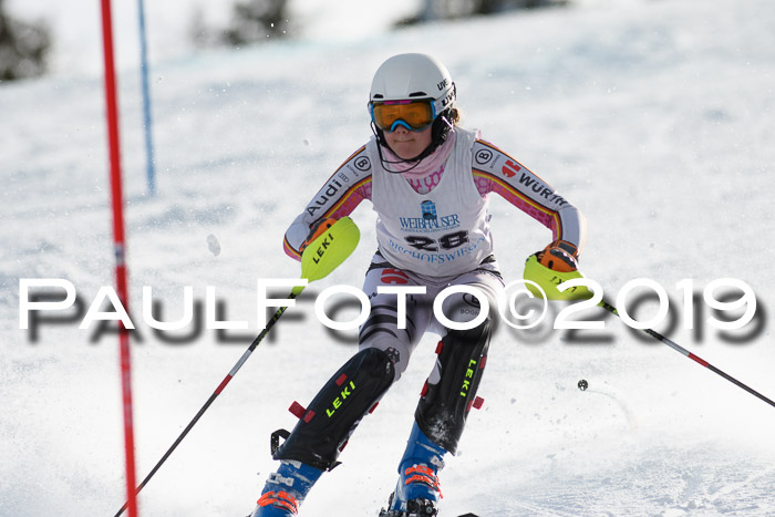 Int. FIS Rennen + NJC  AC Damen, FIS SG, Götschen, 01.02.2019