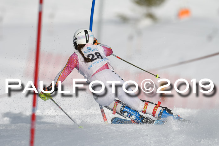 Int. FIS Rennen + NJC  AC Damen, FIS SG, Götschen, 01.02.2019