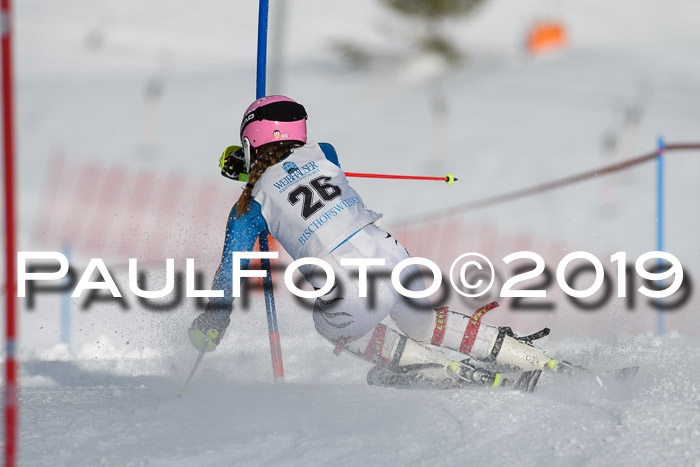 Int. FIS Rennen + NJC  AC Damen, FIS SG, Götschen, 01.02.2019